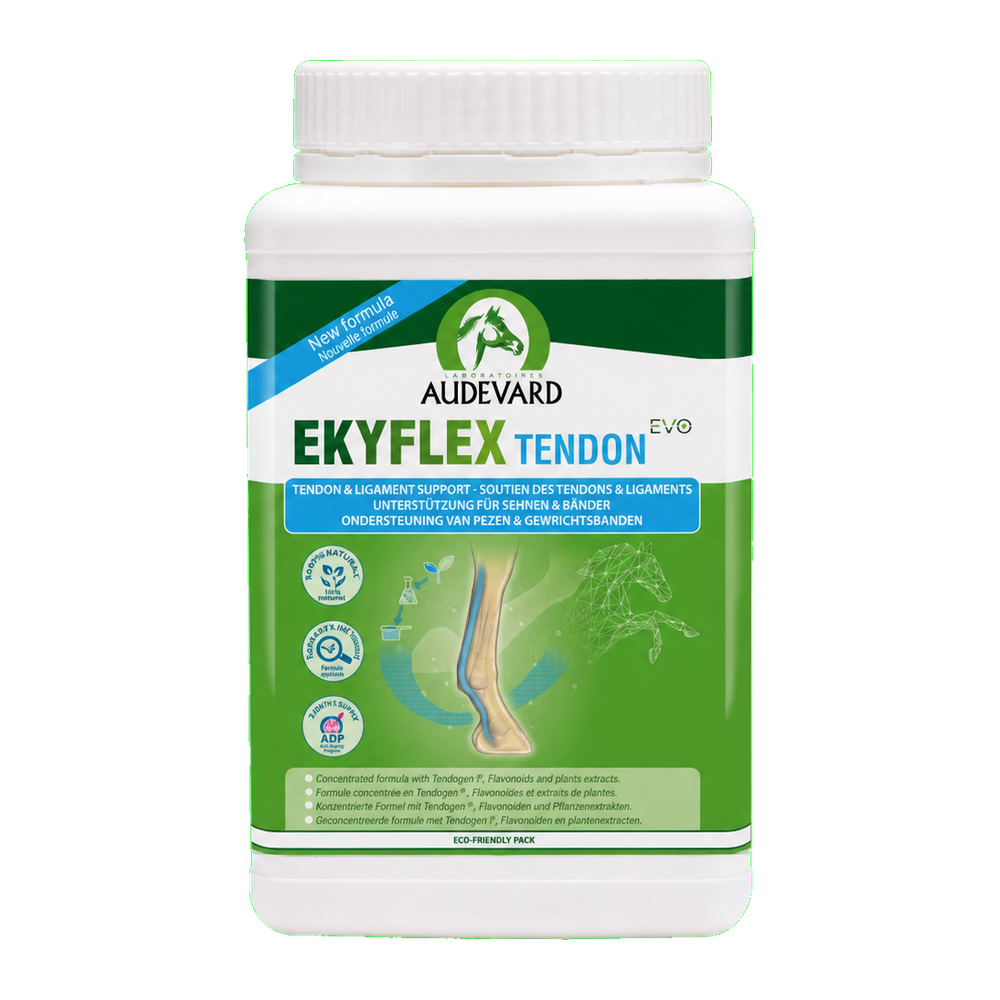 Audevard Ekyflex Tendon